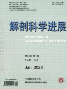 解剖科学进展杂志